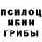 Псилоцибиновые грибы мухоморы Captain Gordeyka