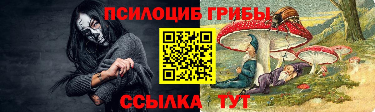 Галлюциногенные грибы мухоморы  Тында 